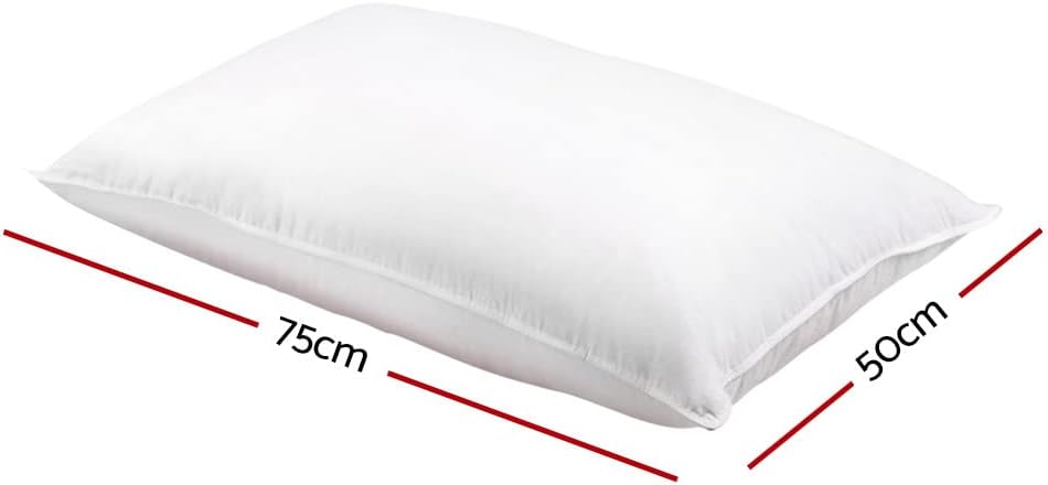 Luxe FeatherTouch Pillow Duo